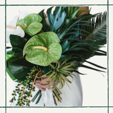Green Anthurium Accent Package - Kreatif By Design