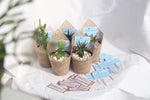 Cactus & Succulent - Package 3 - Kreatif By Design